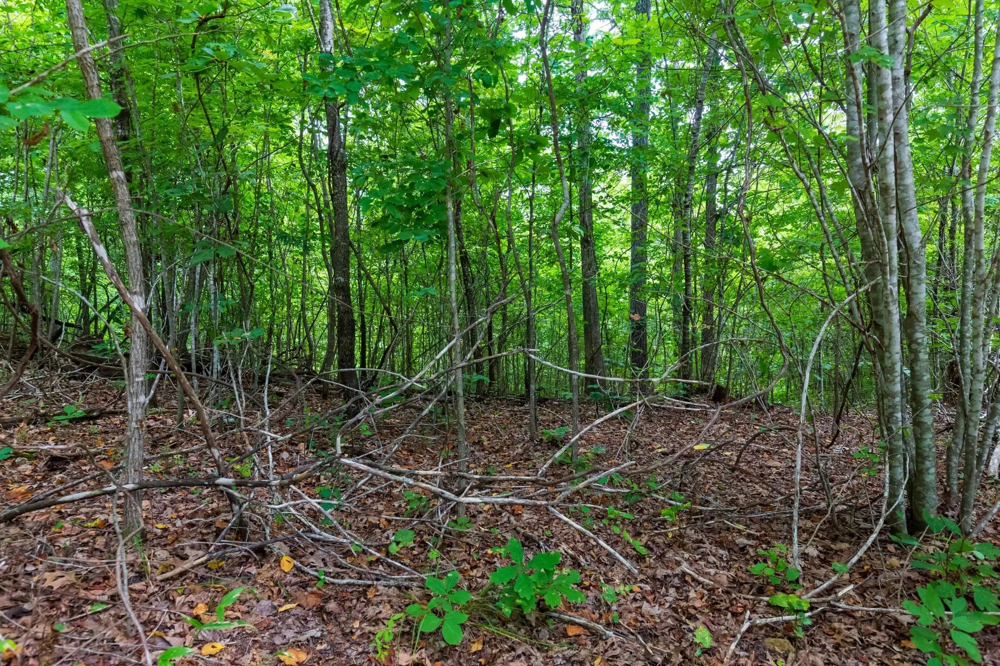 Cypress Ridge Tract 22 in Reynolds County, MO