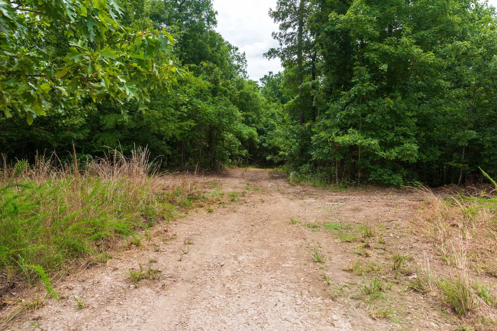 Cypress Ridge Tract 22 in Reynolds County, MO