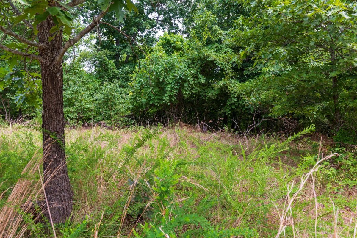 Decorative background for Cypress Ridge Tract 22 image 5