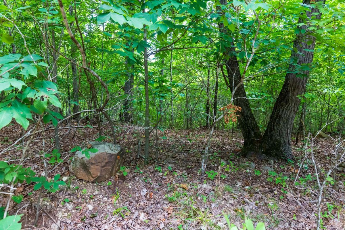 Decorative background for Cypress Ridge Tract 22 image 6