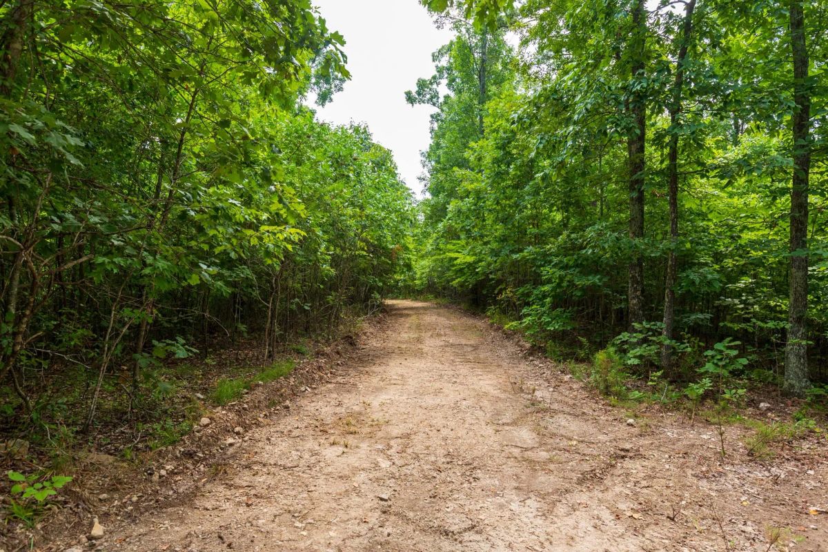 Decorative background for Cypress Ridge Tract 22 image 7