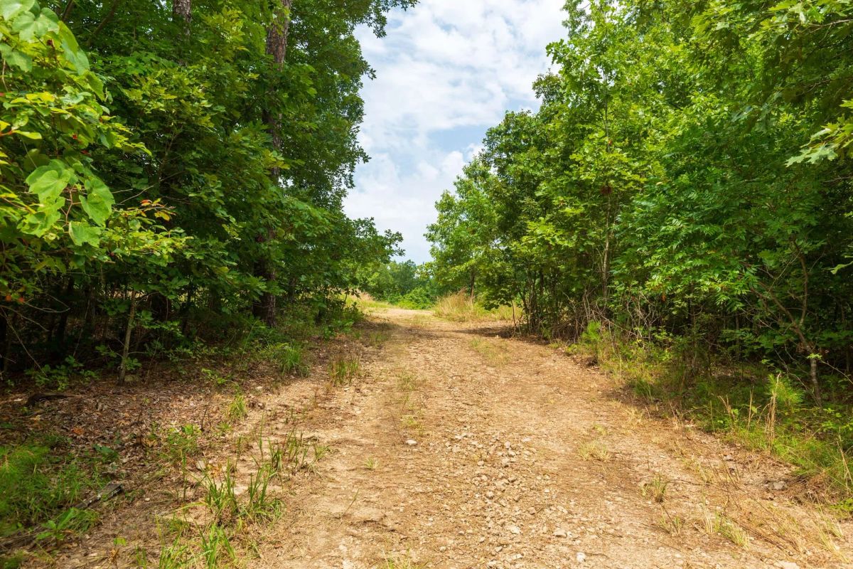 Decorative background for Cypress Ridge Tract 22 image 10