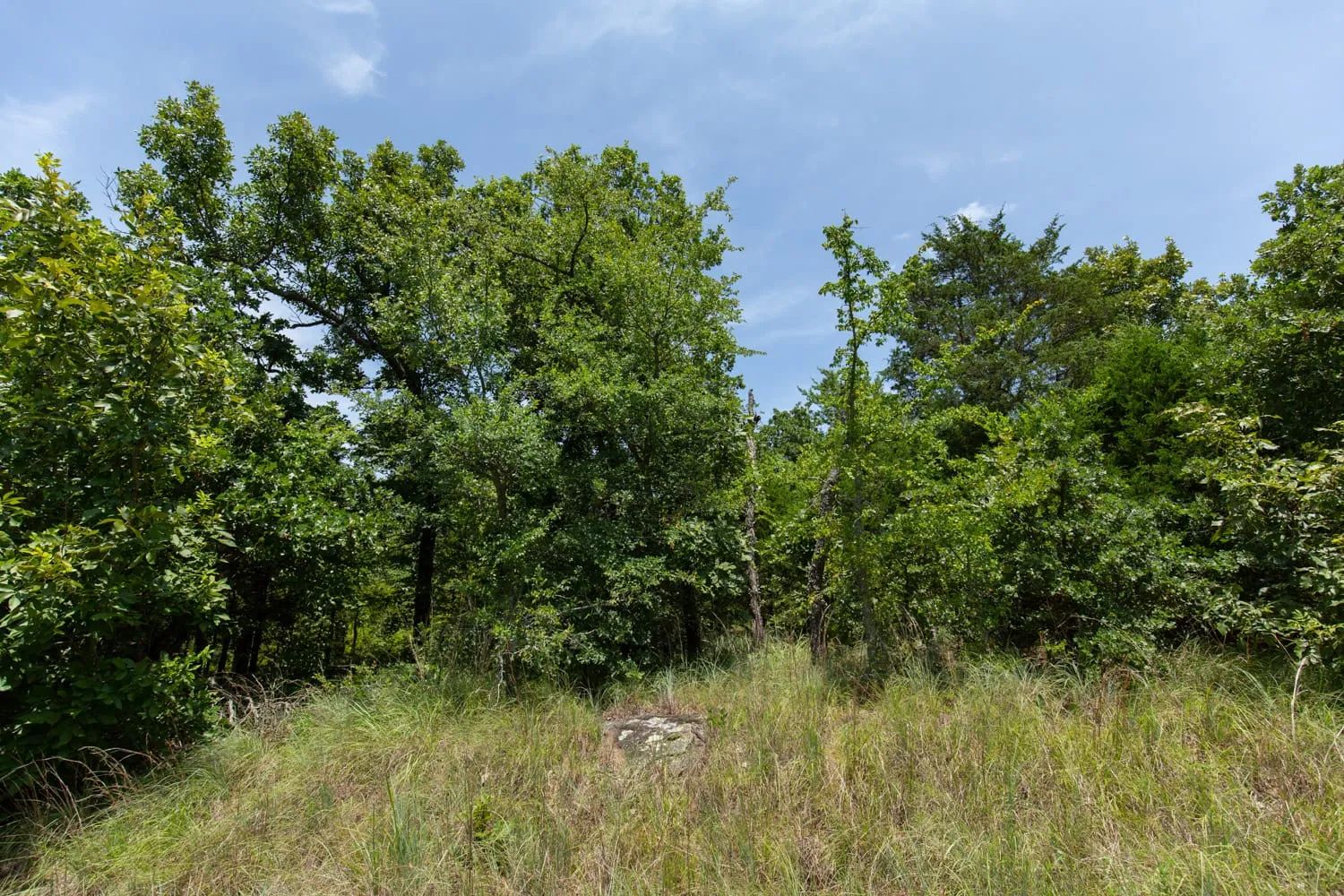 Timber Ridge Tract 51 in McIntosh County, OK