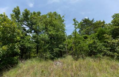 Timber Ridge Tract 51