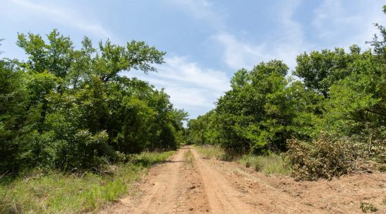 Timber Ridge Tract 51 in McIntosh County, OK