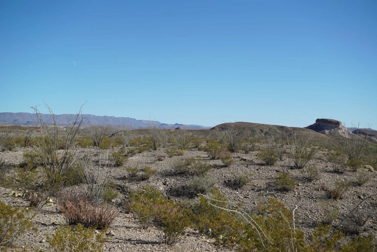 Decorative background for Vista Linda Canyon Tract 24 image 6