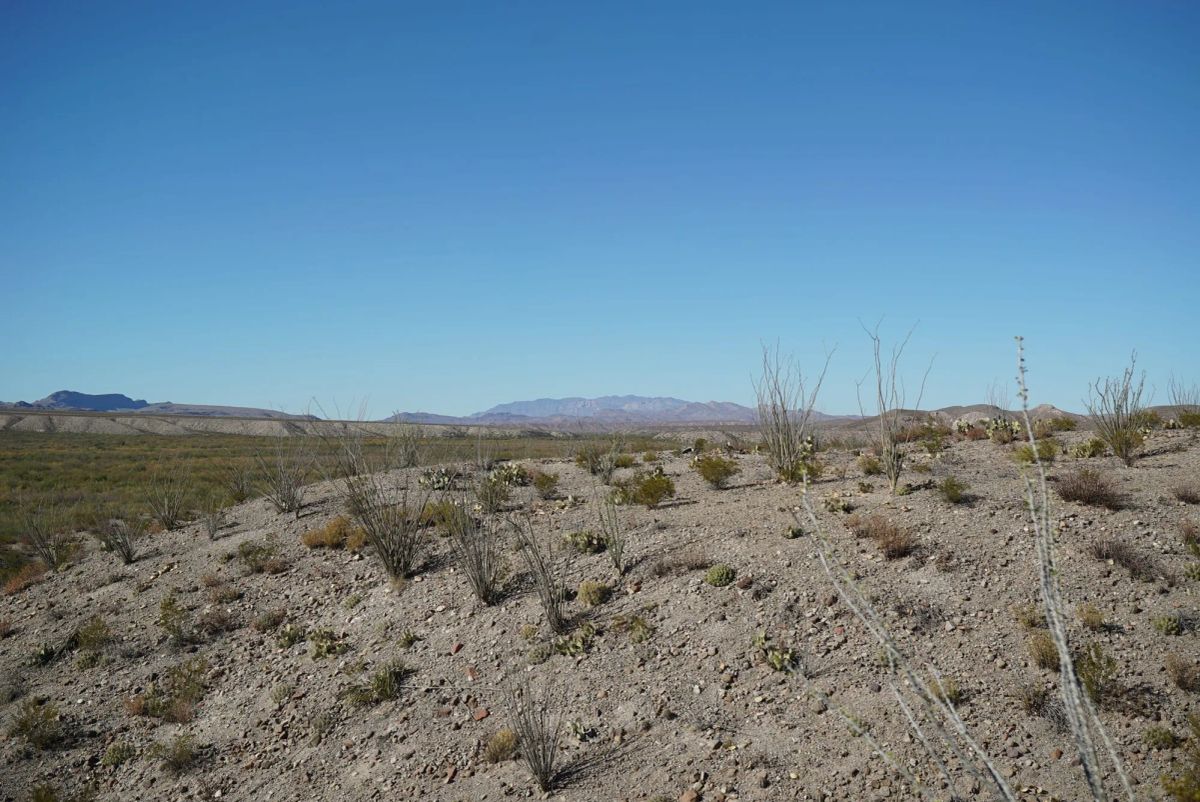 Decorative background for Vista Linda Canyon Tract 24 image 8