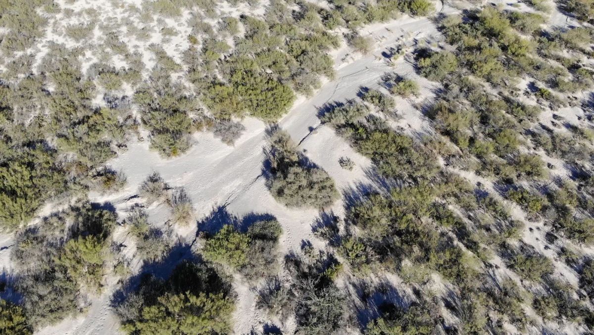 Decorative background for Vista Linda Canyon Tract 24 image 9