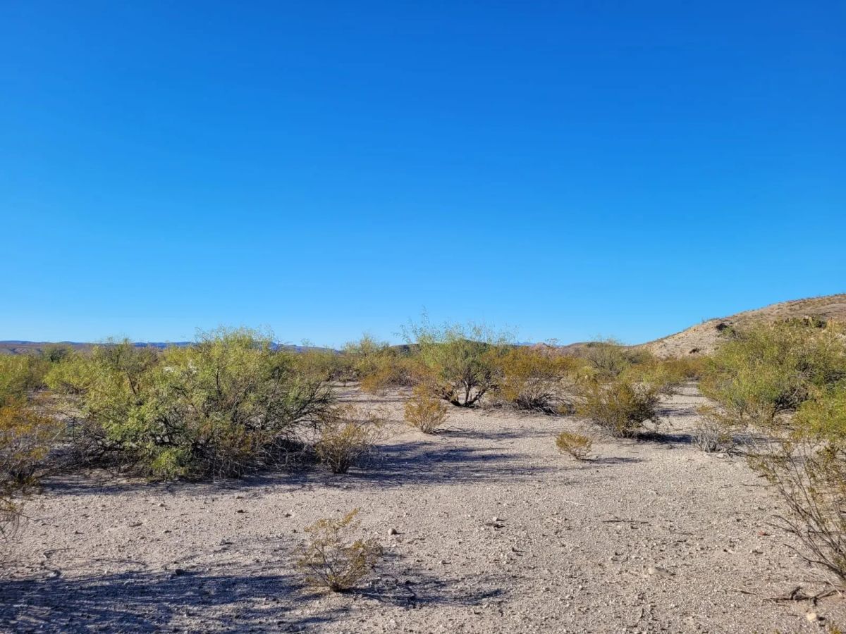 Decorative background for Vista Linda Canyon Tract 24 image 10