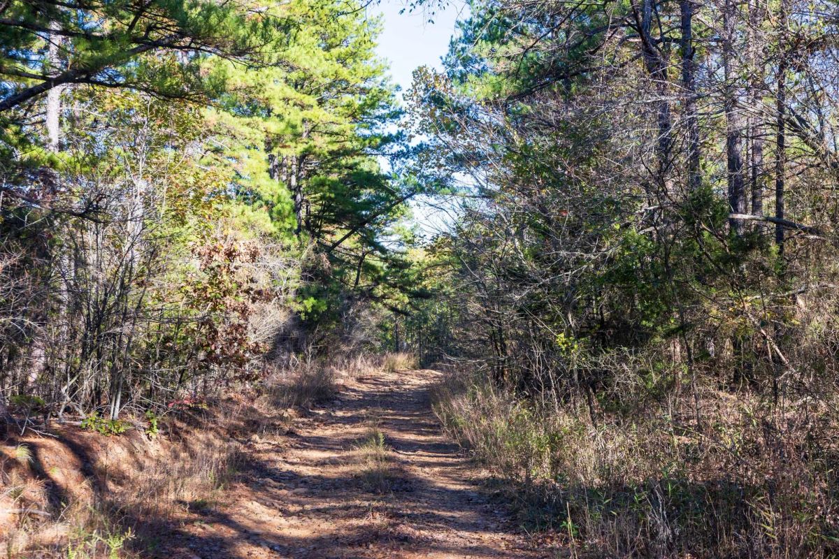 Stone Bridge Reserve Tract 28 - Main image