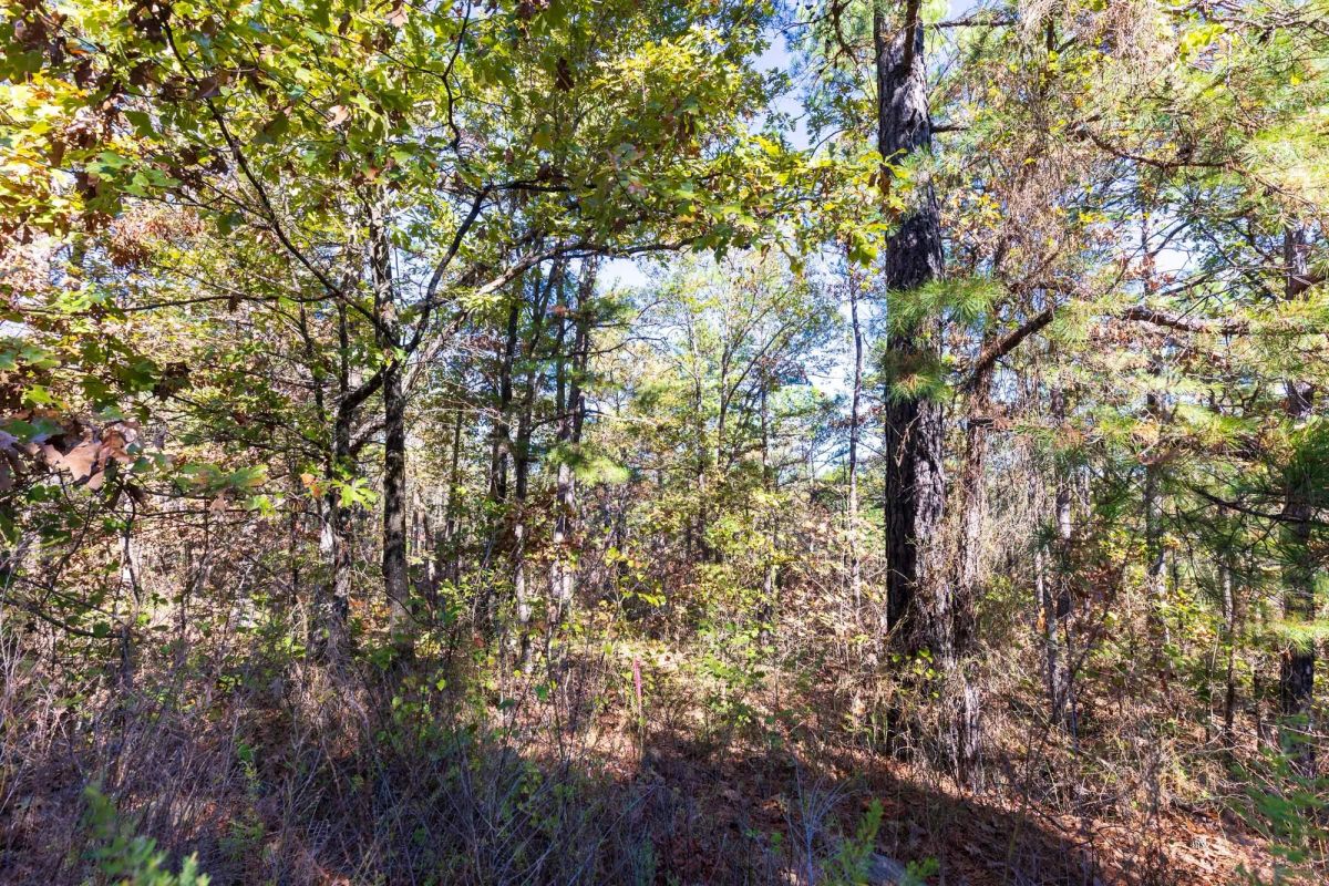 Stone Bridge Reserve Tract 28 - Image 2