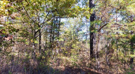Stone Bridge Reserve Tract 28 in Haskell County, OK