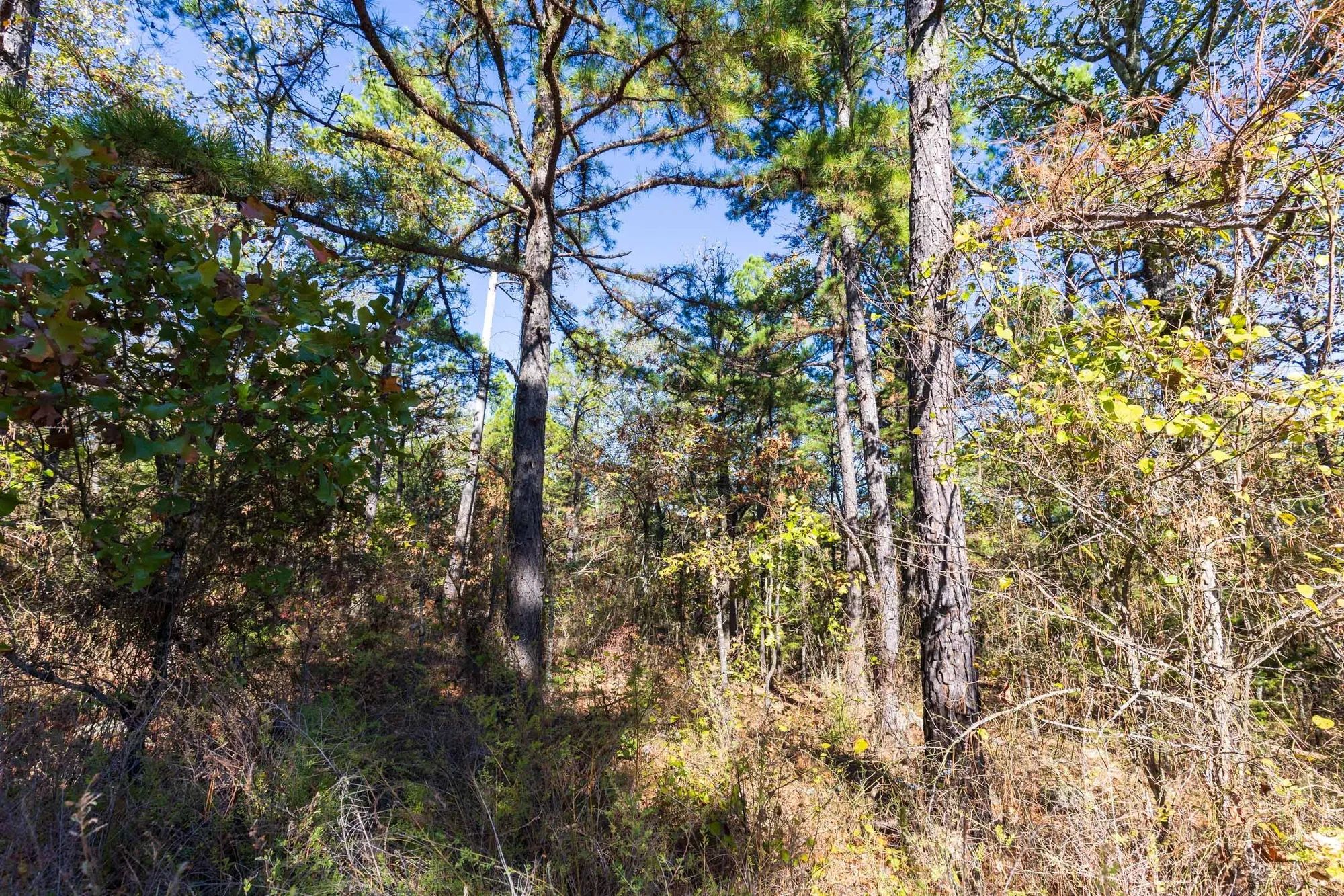 Stone Bridge Reserve Tract 28 in Haskell County, OK