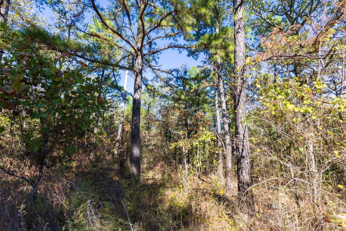 Stone Bridge Reserve Tract 28 - Image 3