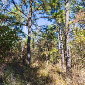Stone Bridge Reserve Tract 28 in Haskell County, OK