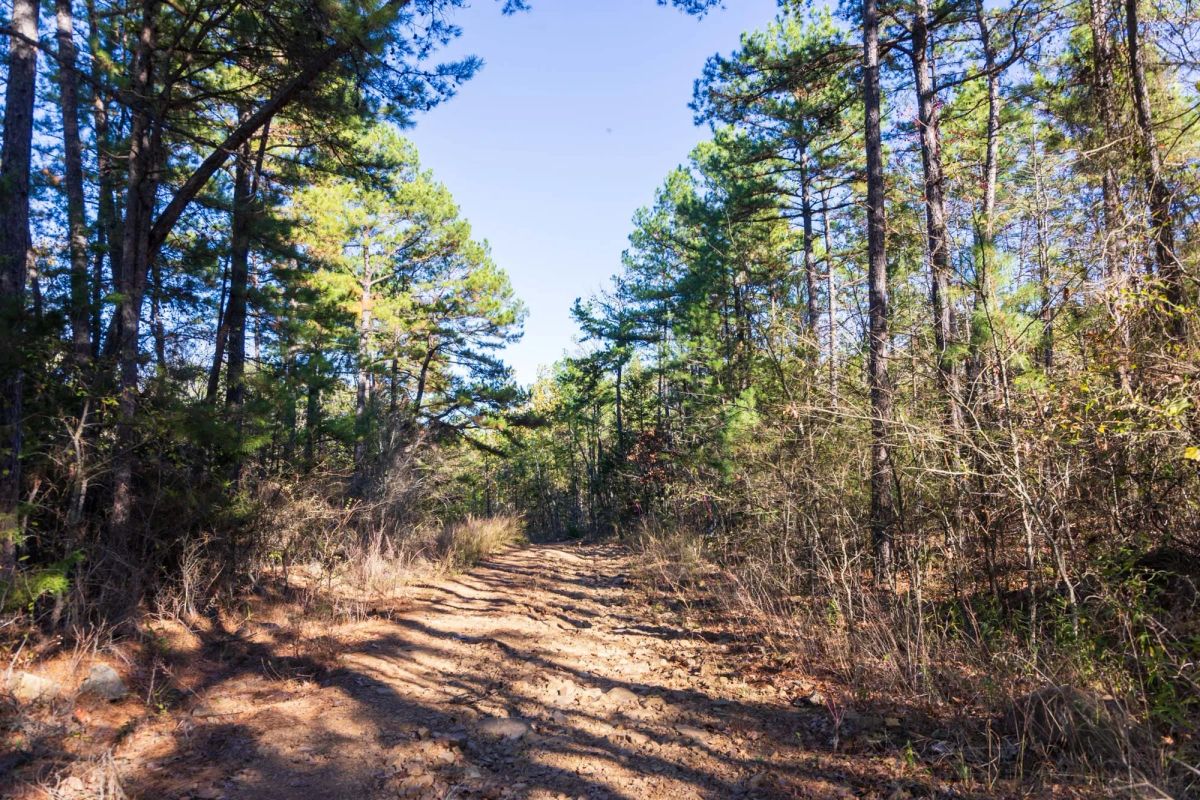 Decorative background for Stone Bridge Reserve Tract 28 image 6