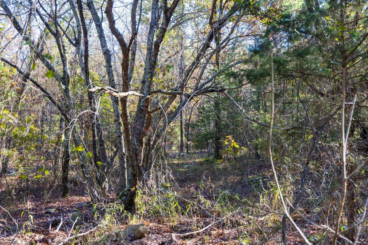 Decorative background for Stone Bridge Reserve Tract 28 image 7