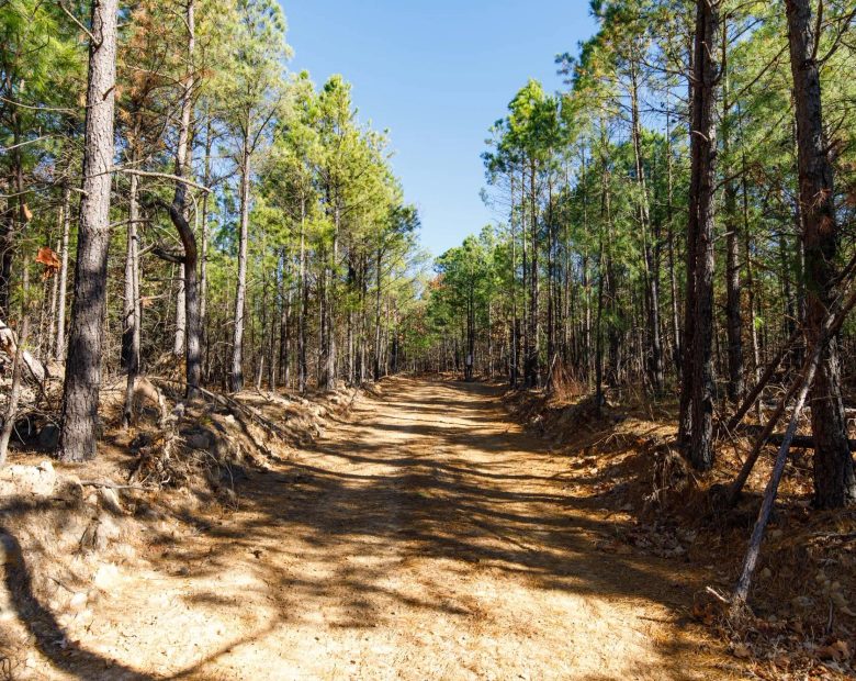 Stone Bridge Phase II Tract 129 in Latimer County, OK