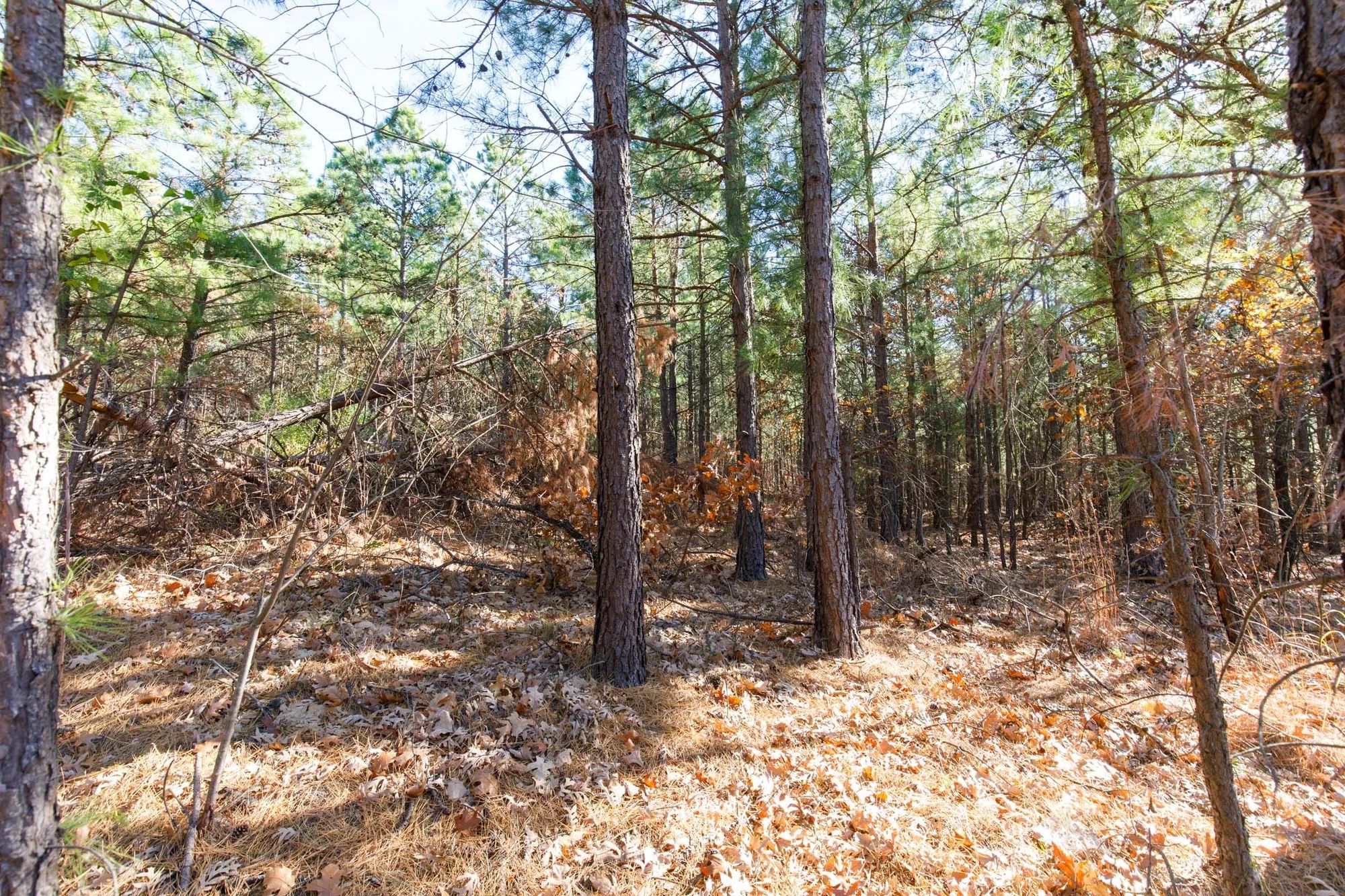 Stone Bridge Phase II Tract 129 in Latimer County, OK