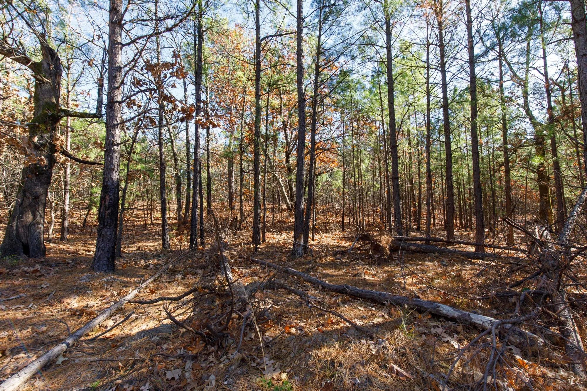 Stone Bridge Phase II Tract 129 in Latimer County, OK