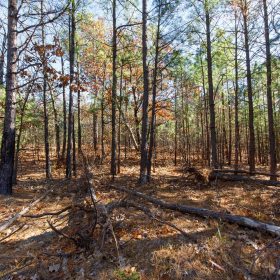 Stone Bridge Phase II Tract 129 in Latimer County, OK
