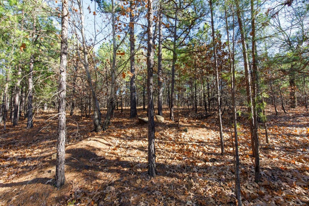 Decorative background for Stone Bridge Phase II Tract 129 image 5