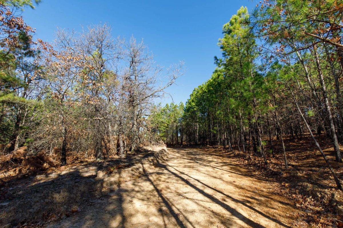 Decorative background for Stone Bridge Phase II Tract 129 image 7