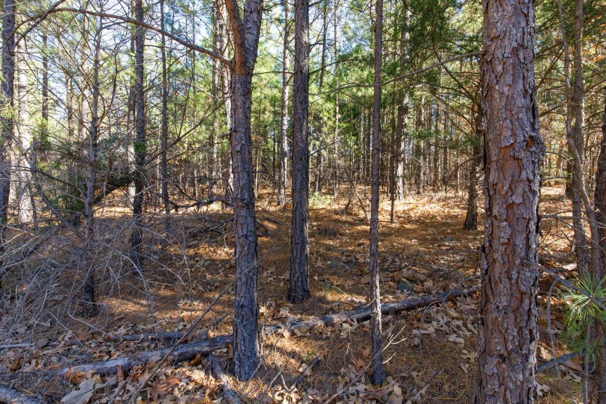 Decorative background for Stone Bridge Phase II Tract 129 image 9