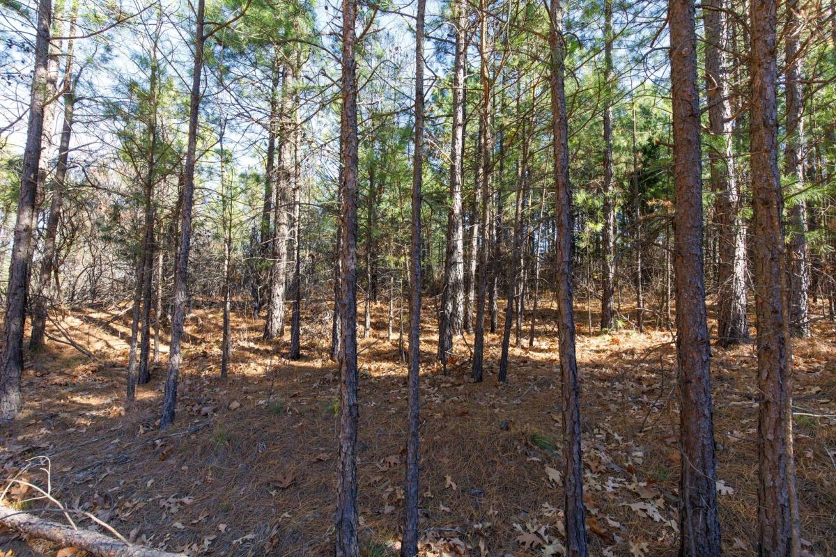Decorative background for Stone Bridge Phase II Tract 129 image 10