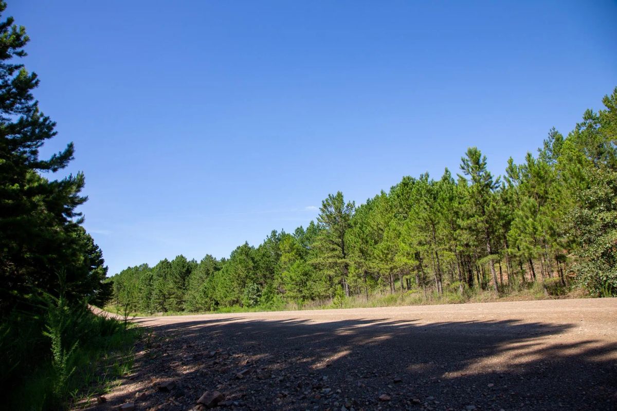Tyler Stone Ranch Tract 2 - Main image