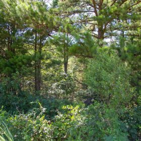 Tyler Stone Ranch Tract 2 in Le Flore County, OK