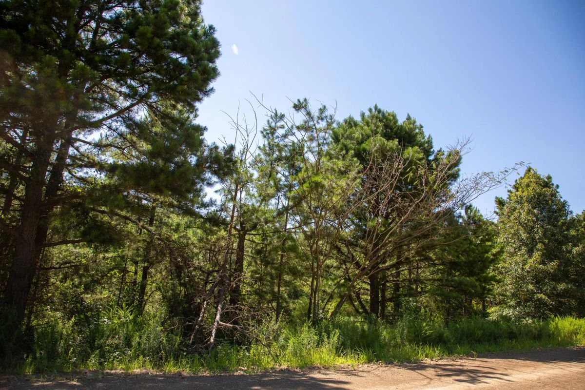 Decorative background for Tyler Stone Ranch Tract 2 image 12