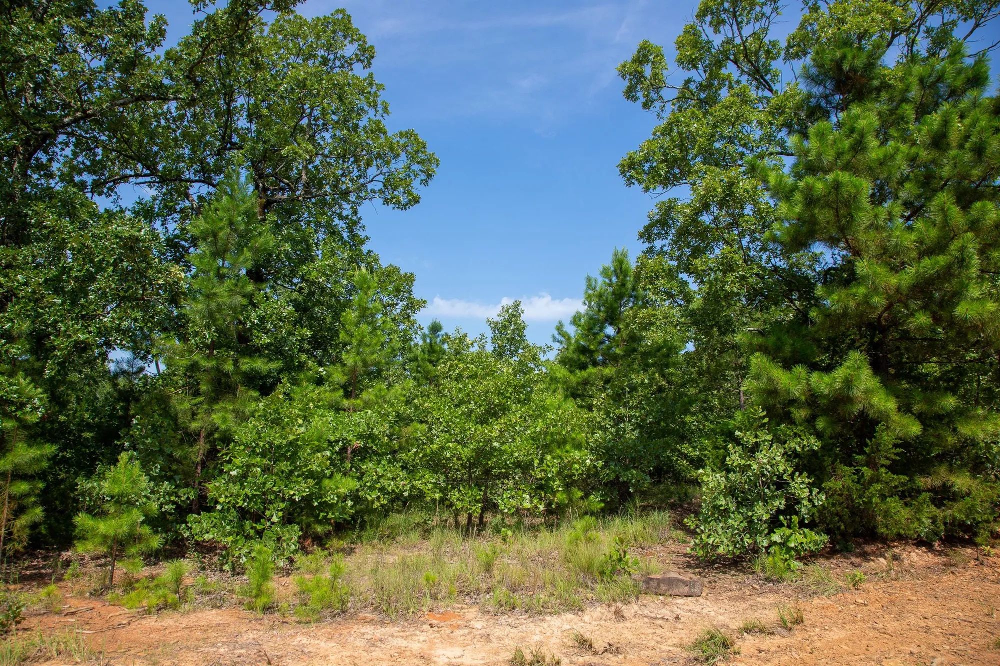 Tyler Stone Ranch Tract 55 in Le Flore County, OK