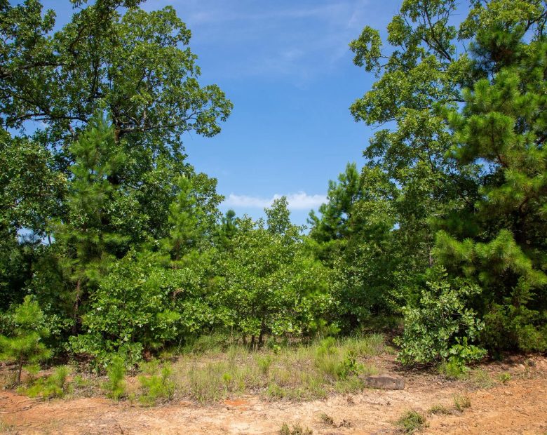 Tyler Stone Ranch Tract 55 in Le Flore County, OK