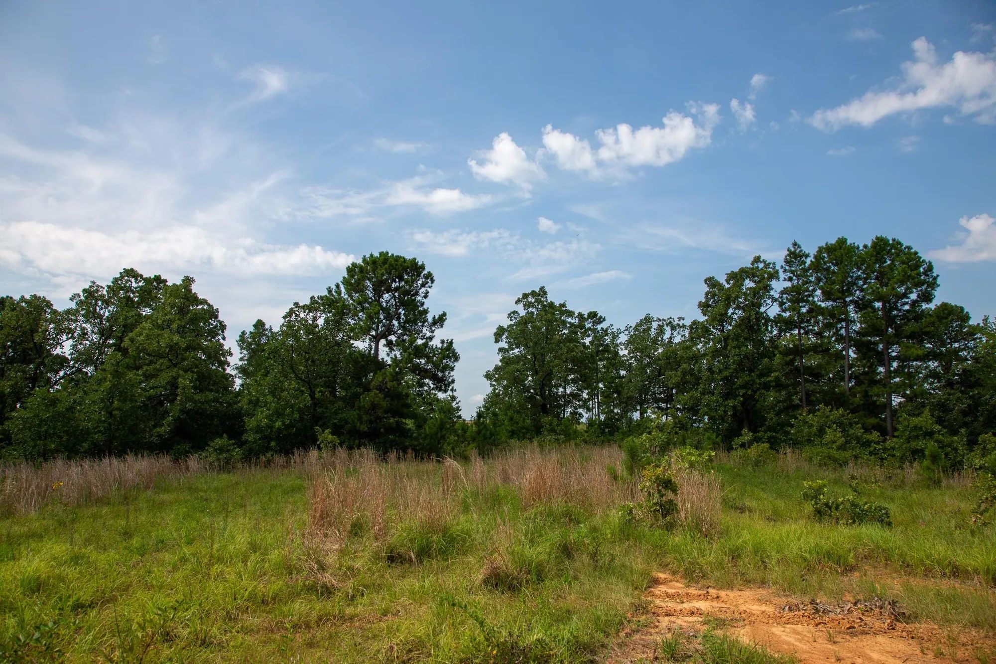 Tyler Stone Ranch Tract 55 in Le Flore County, OK