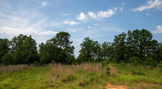 Tyler Stone Ranch Tract 55 in Le Flore County, OK