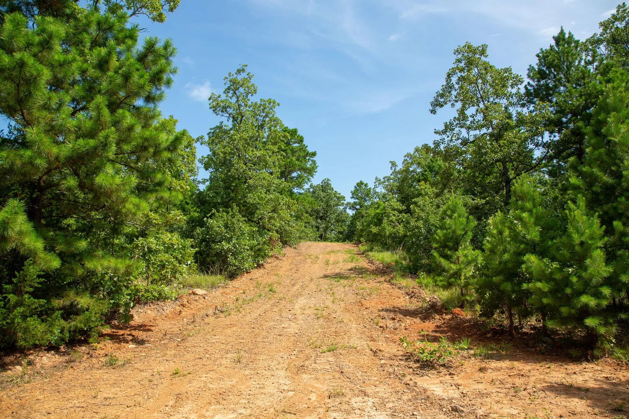 Tyler Stone Ranch Tract 55 in Le Flore County, OK