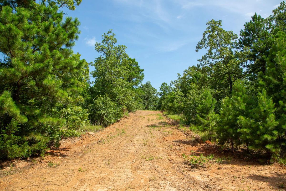 Tyler Stone Ranch Tract 55 - Image 3