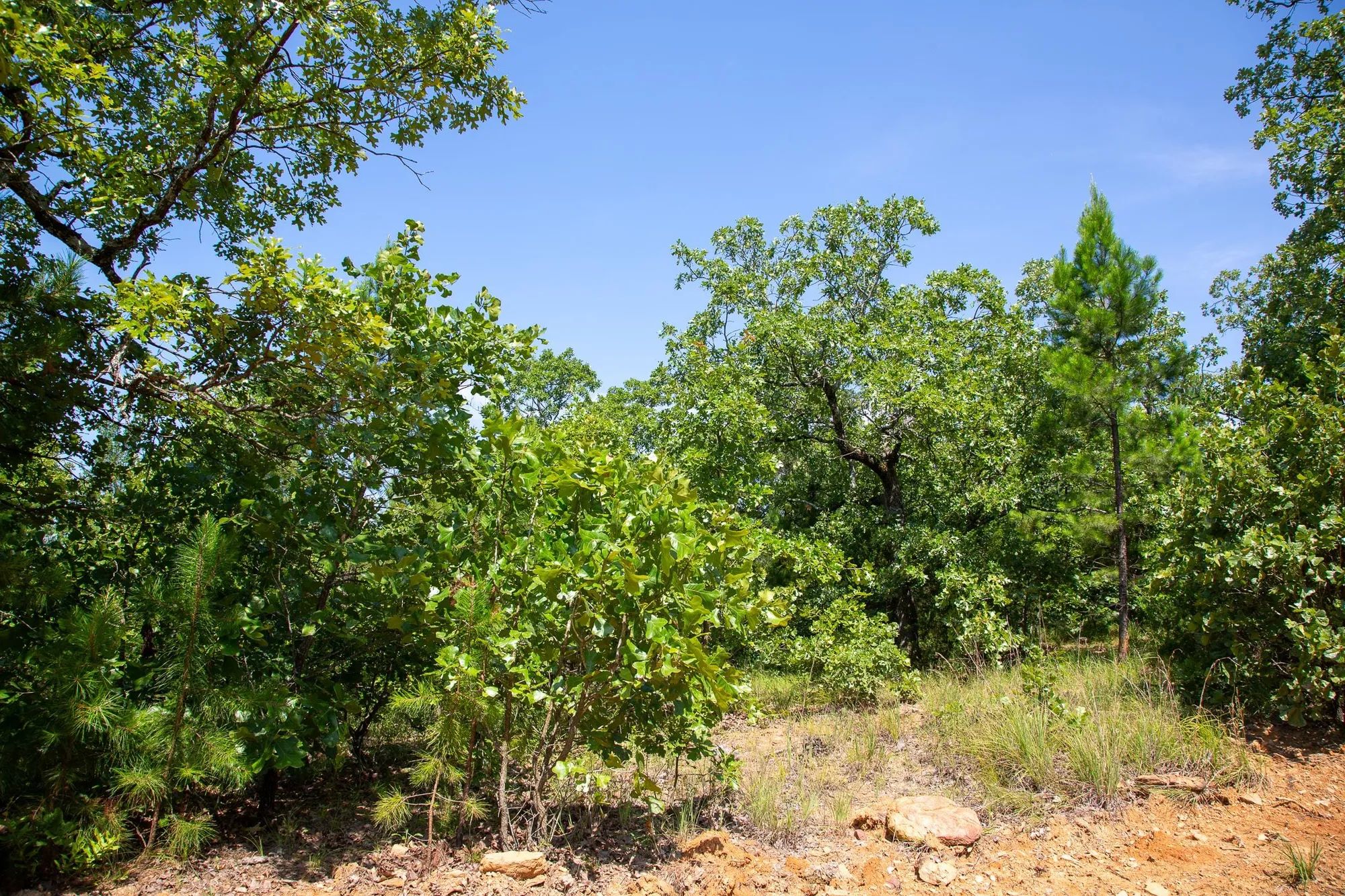 Tyler Stone Ranch Tract 55 in Le Flore County, OK
