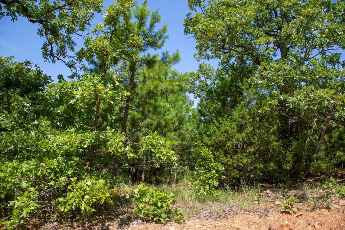 Decorative background for Tyler Stone Ranch Tract 55 image 6