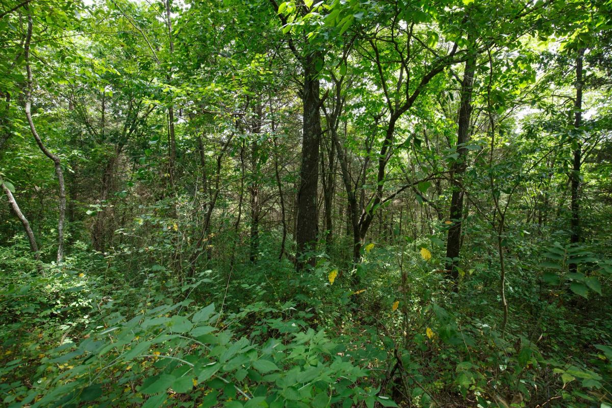 Spring Lake Plat 1 Tract 30 - Main image