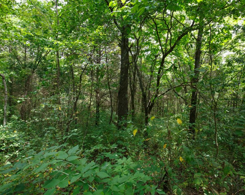 Spring Lake Plat 1 Tract 30 in Miller County, MO