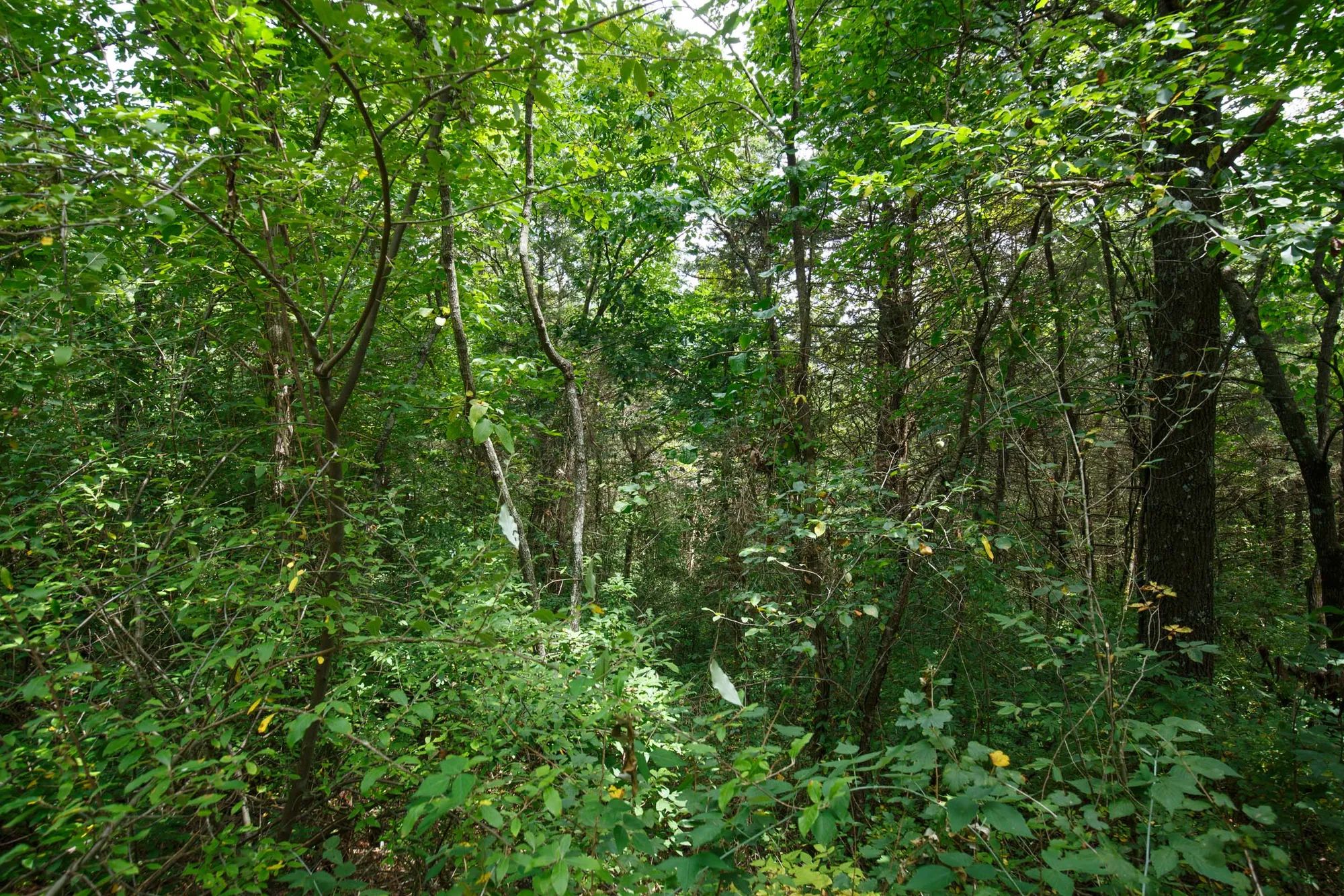 Spring Lake Plat 1 Tract 30 in Miller County, MO