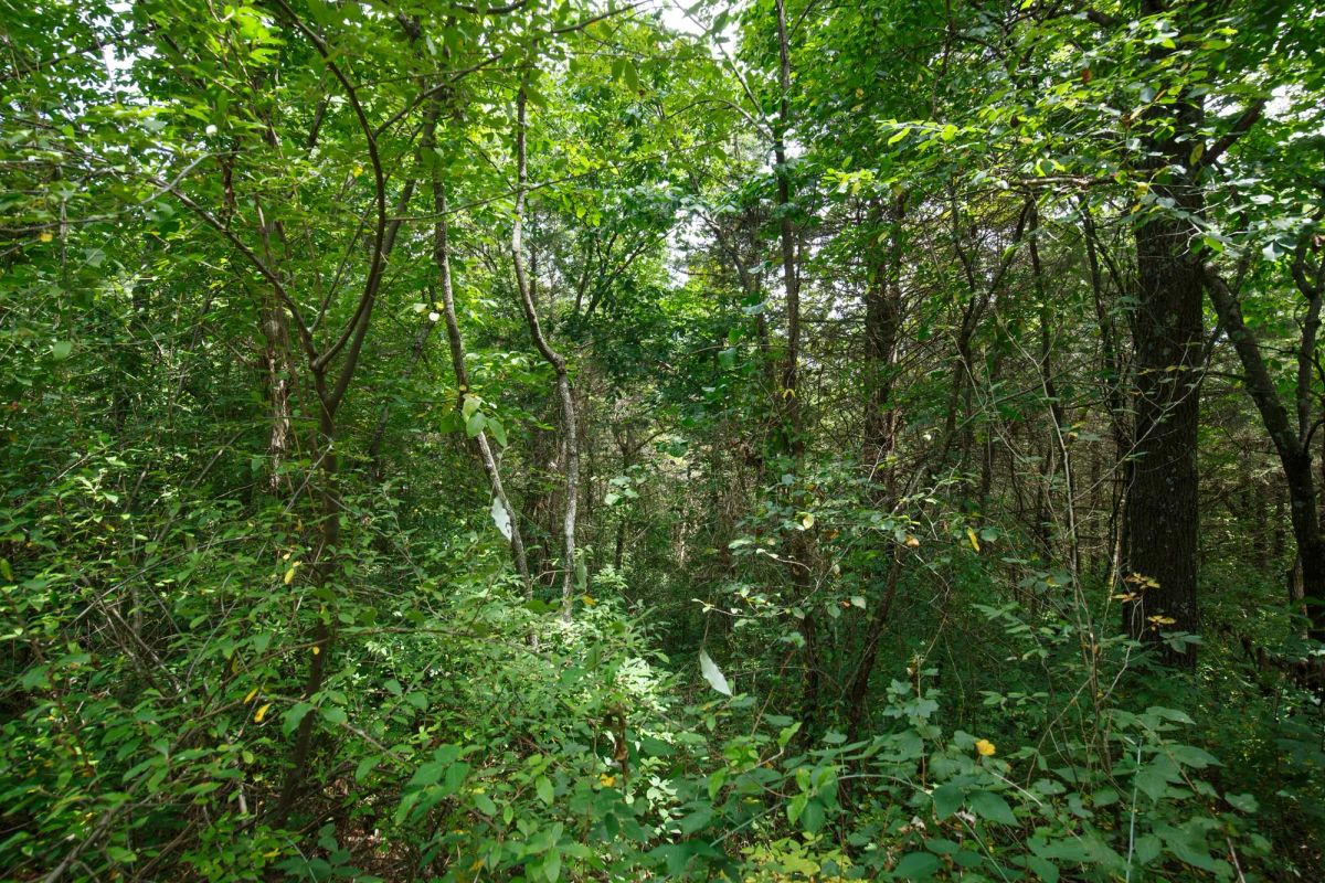 Spring Lake Plat 1 Tract 30 - Image 2