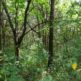 Spring Lake Plat 1 Tract 30 in Miller County, MO