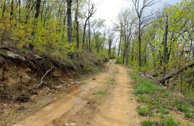Trophy Ridge Phase III Tract 53