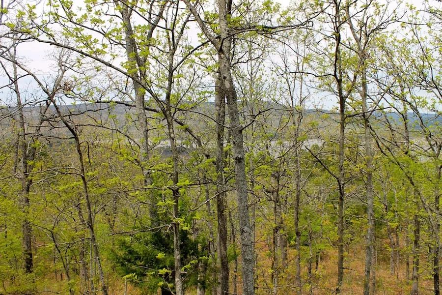 Trophy Ridge Phase III Tract 53 in Pushmataha County, OK