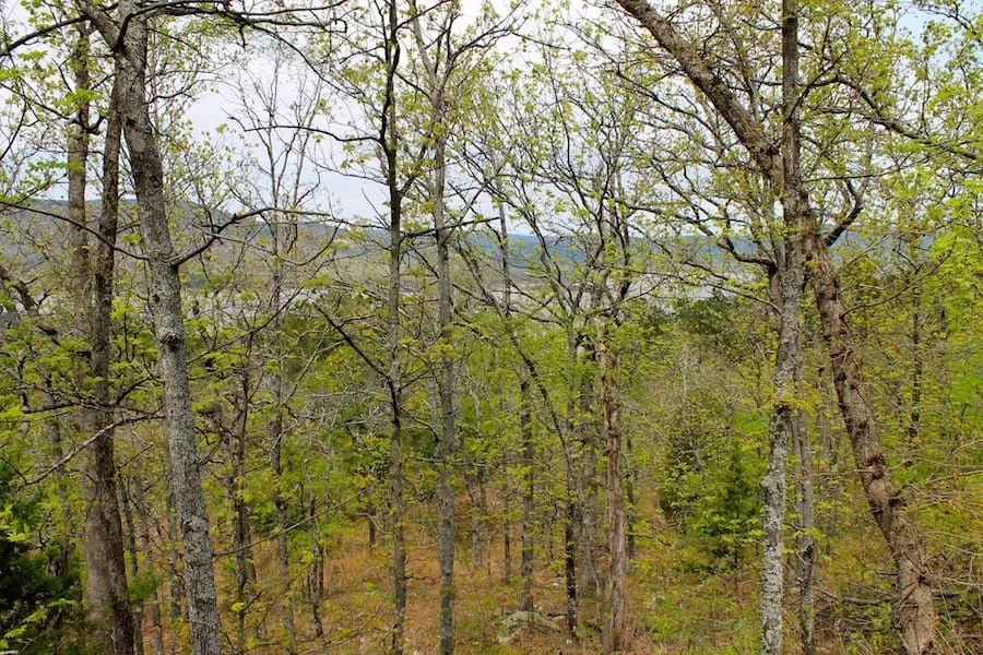 Trophy Ridge Phase III Tract 53 in Pushmataha County, OK