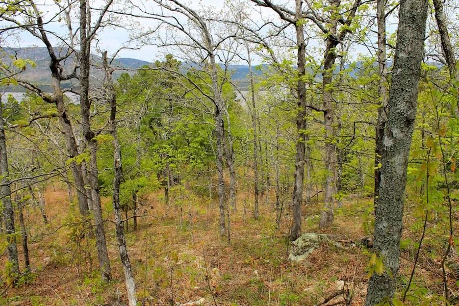 Trophy Ridge Phase III Tract 53 in Pushmataha County, OK