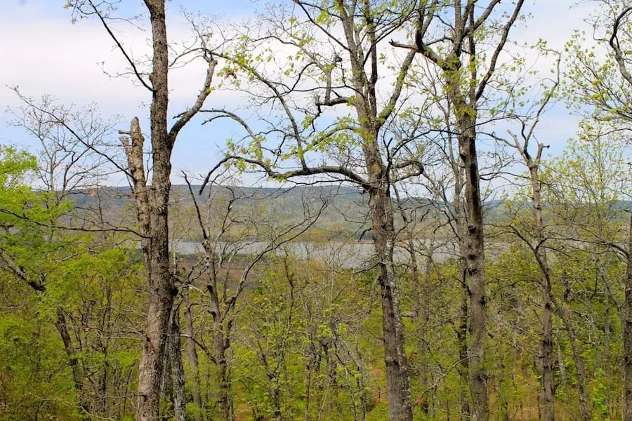 Decorative background for Trophy Ridge Phase III Tract 53 image 21